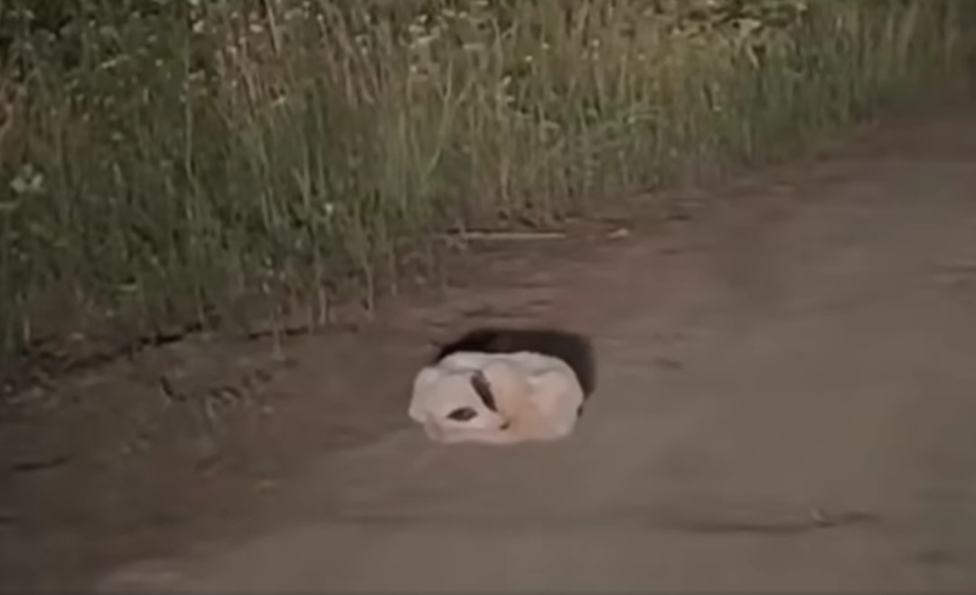 That encounter forever changed Santi's l...