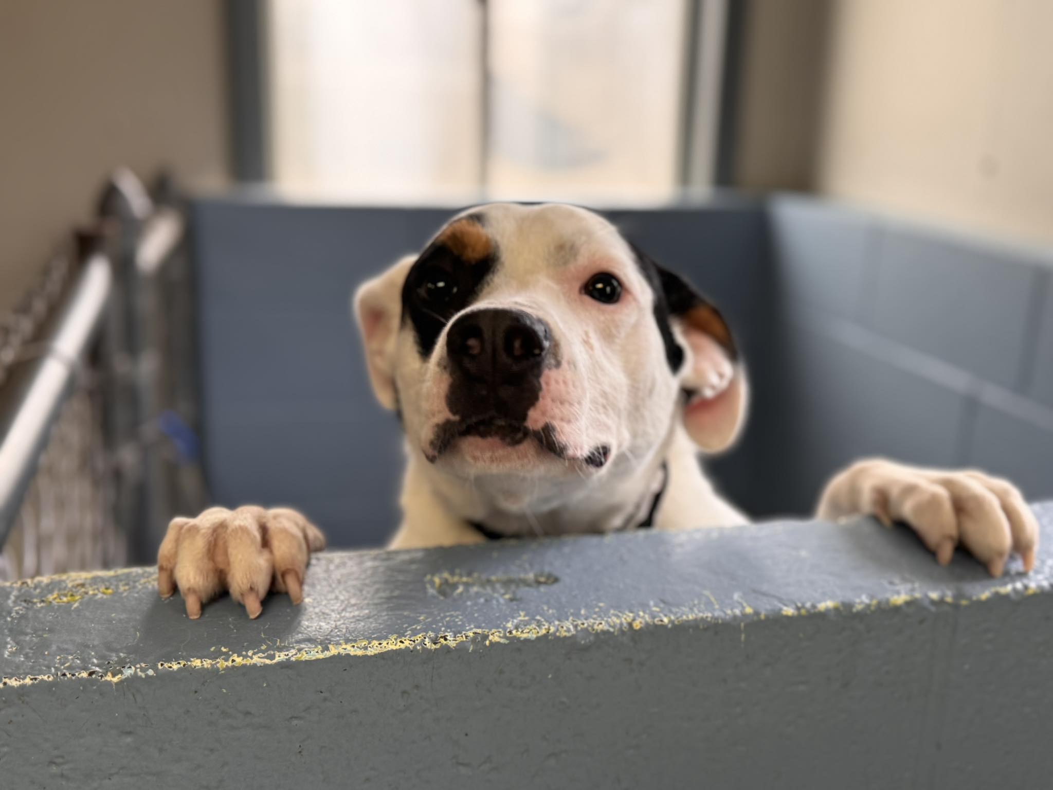 The most endearing part was Lil’ Timmy’s...