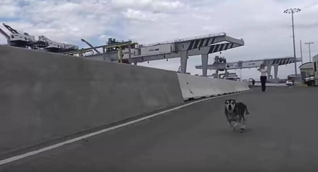 “There was just no way out of there,” ex...