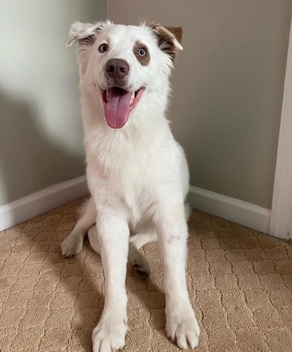 For Hollis and Jerry, both medical stude...