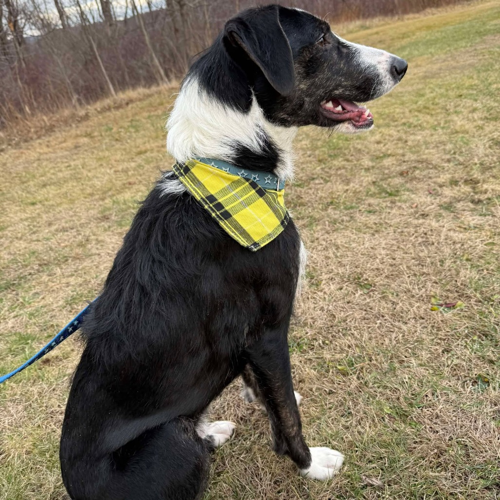 Extra image from article