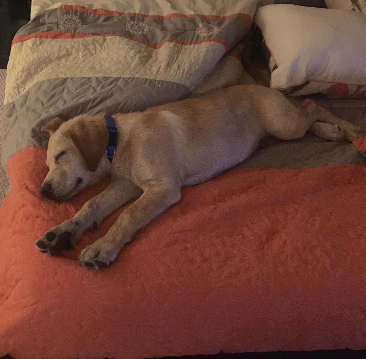 Extra image from article