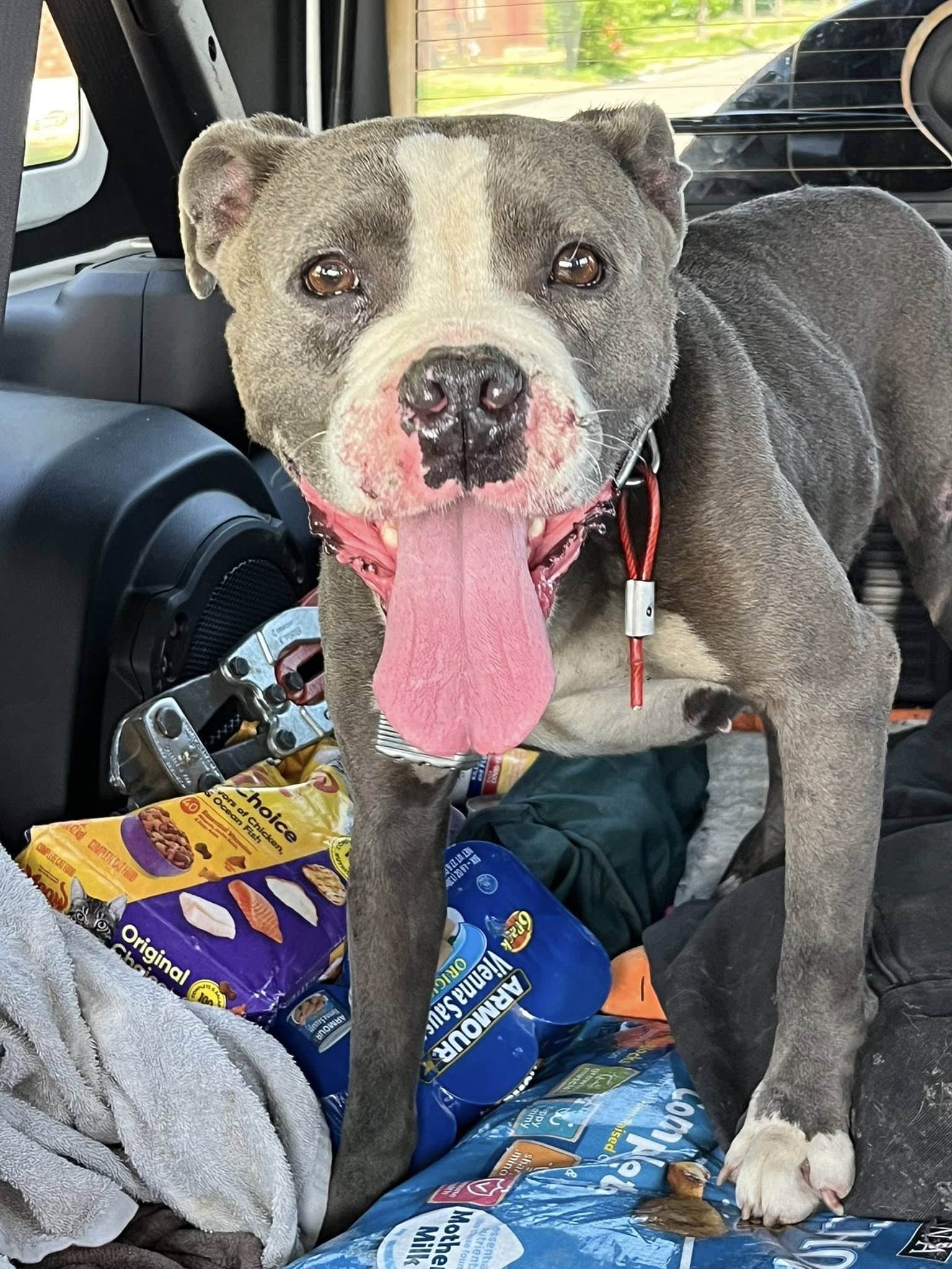 Extra image from article