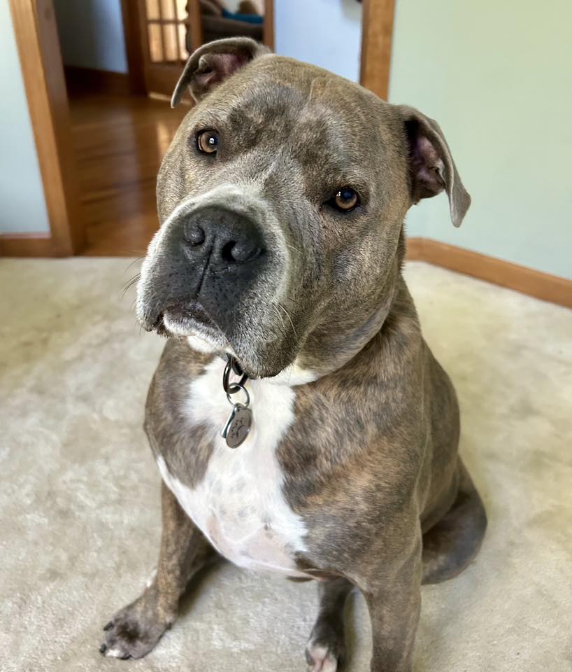 Extra image from article