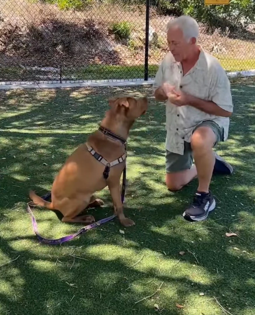 With the right family, Sabie can continu...