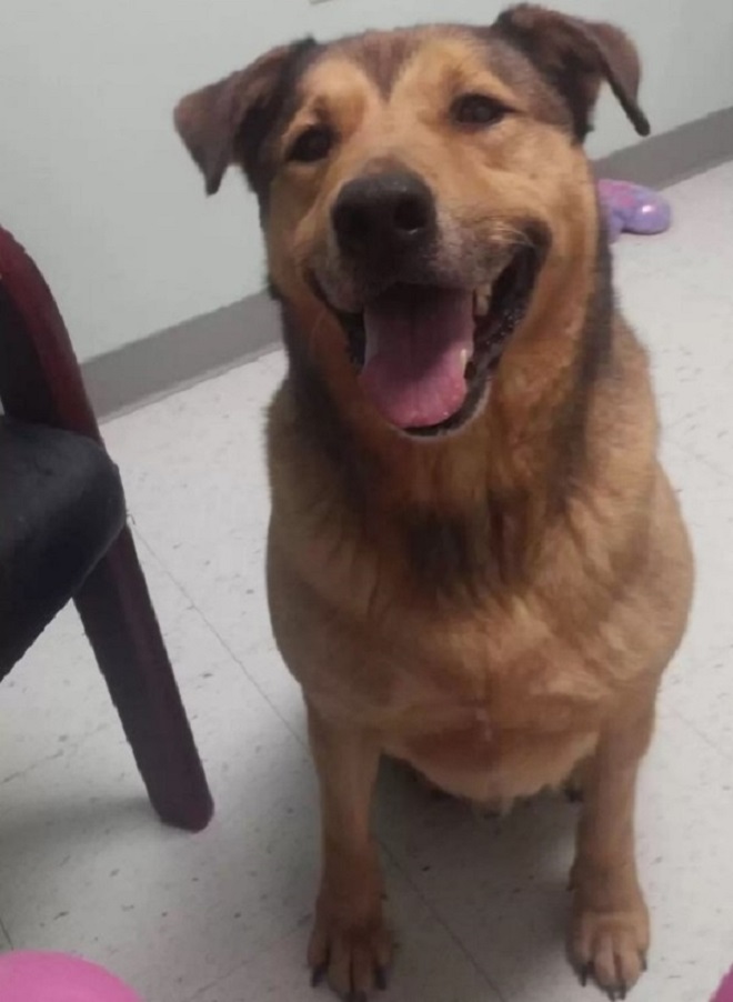 Extra image from article