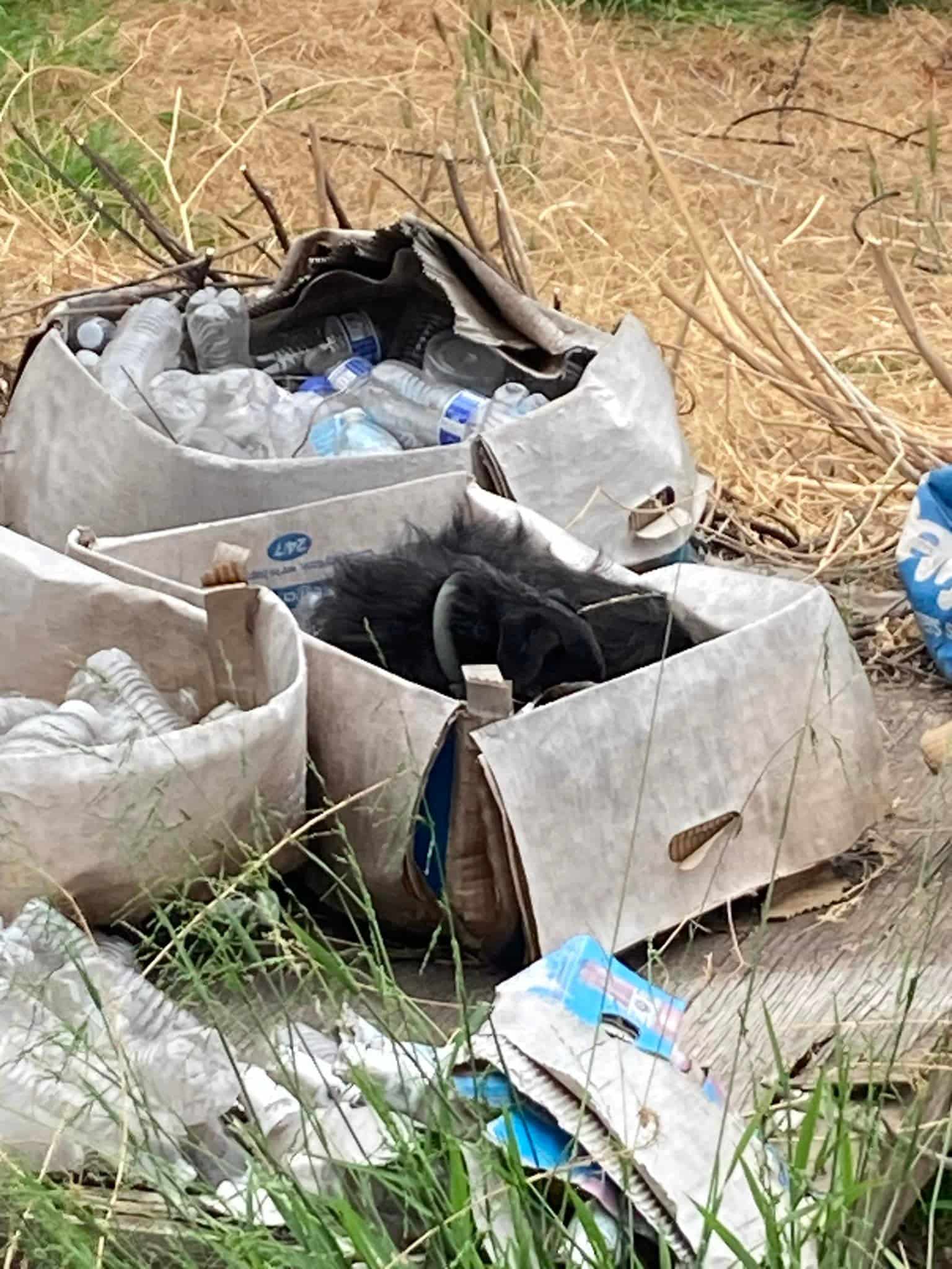 Suzette shared the happy ending on Faceb...