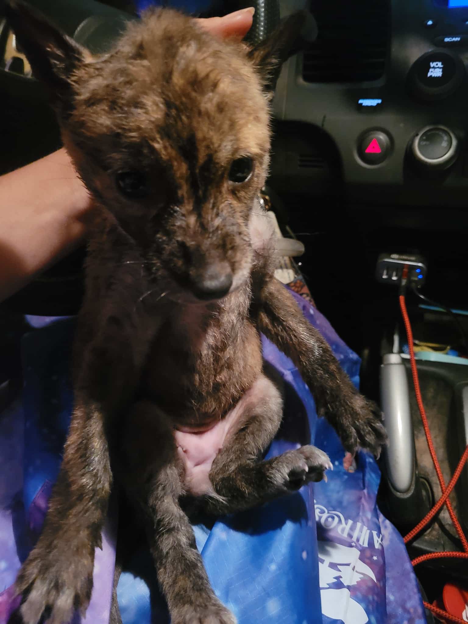 Extra image from article