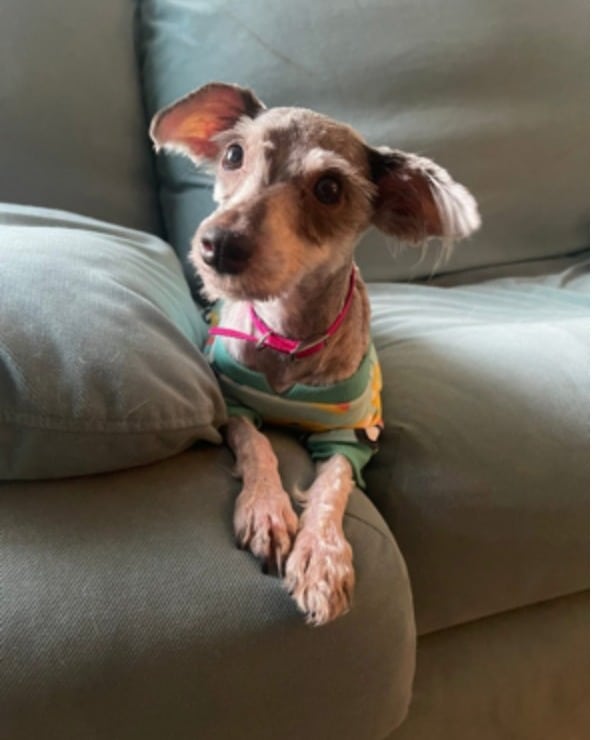 Extra image from article