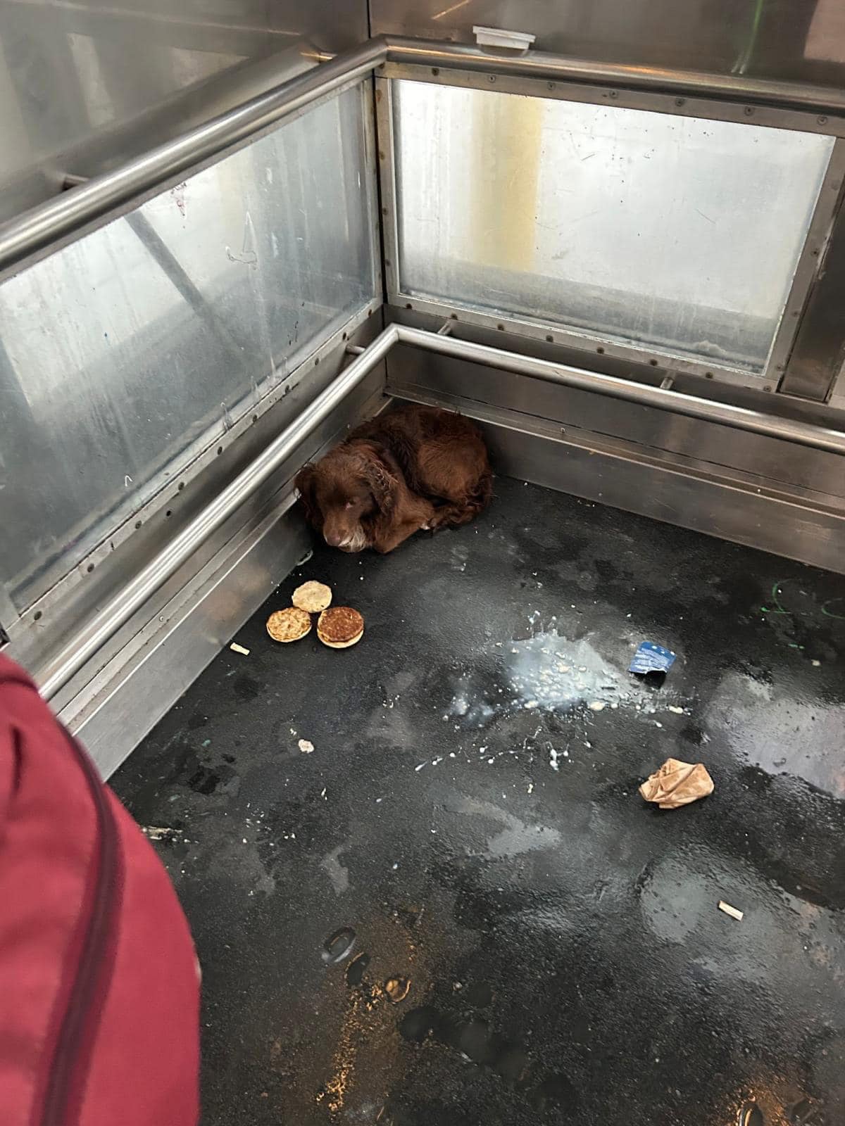 As Mary approached and the elevator door...