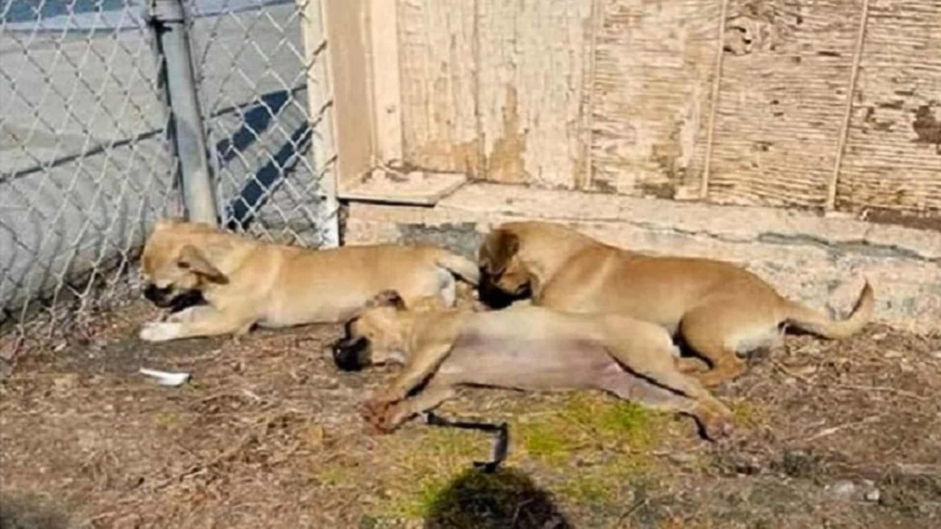 Instead of the comfort and warmth of an ...