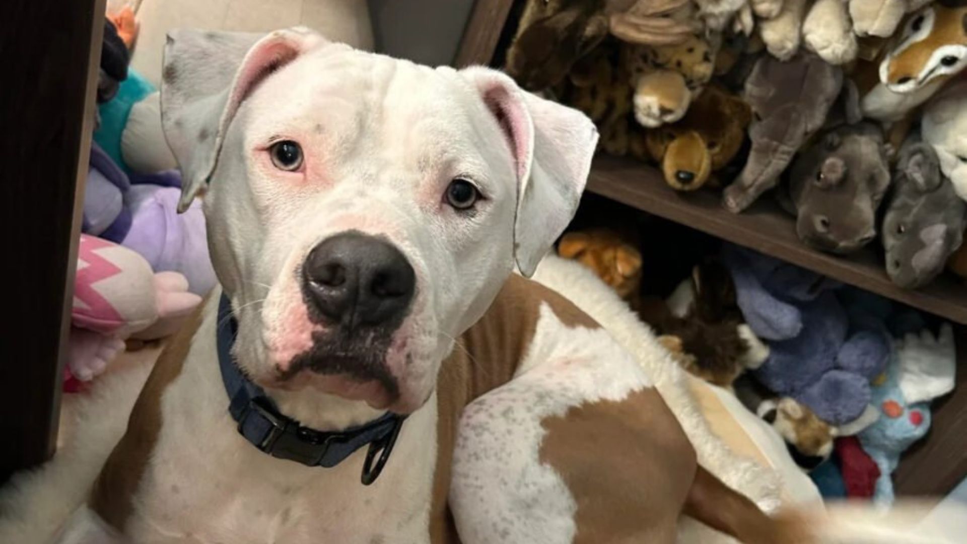 In a Reddit post titled