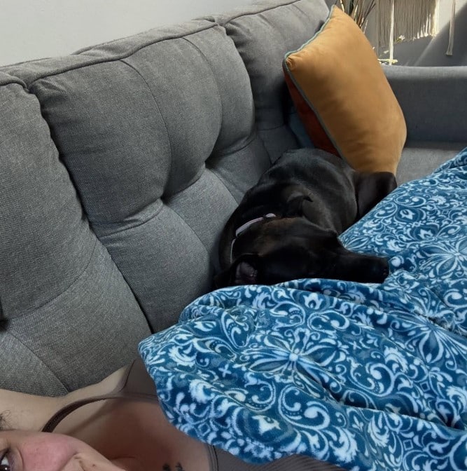 Extra image from article