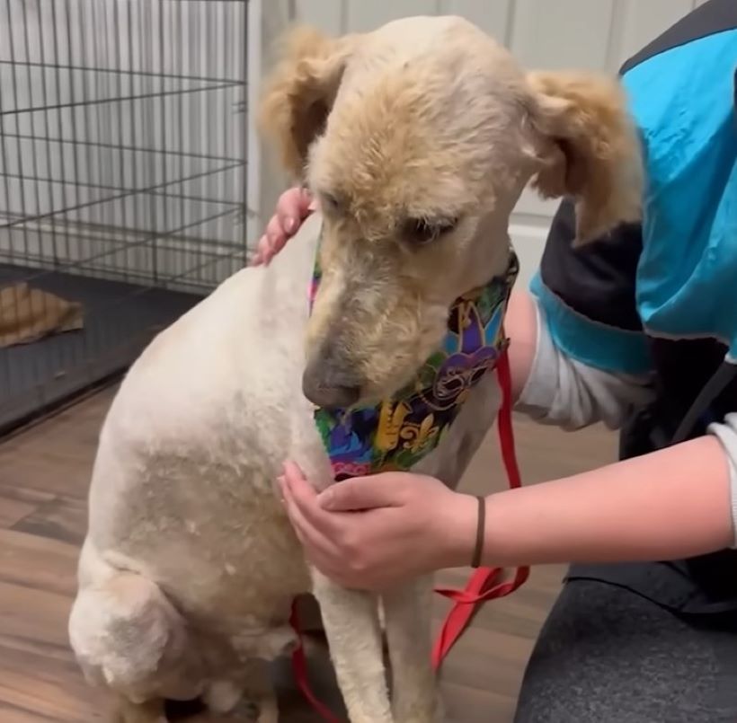 Extra image from article