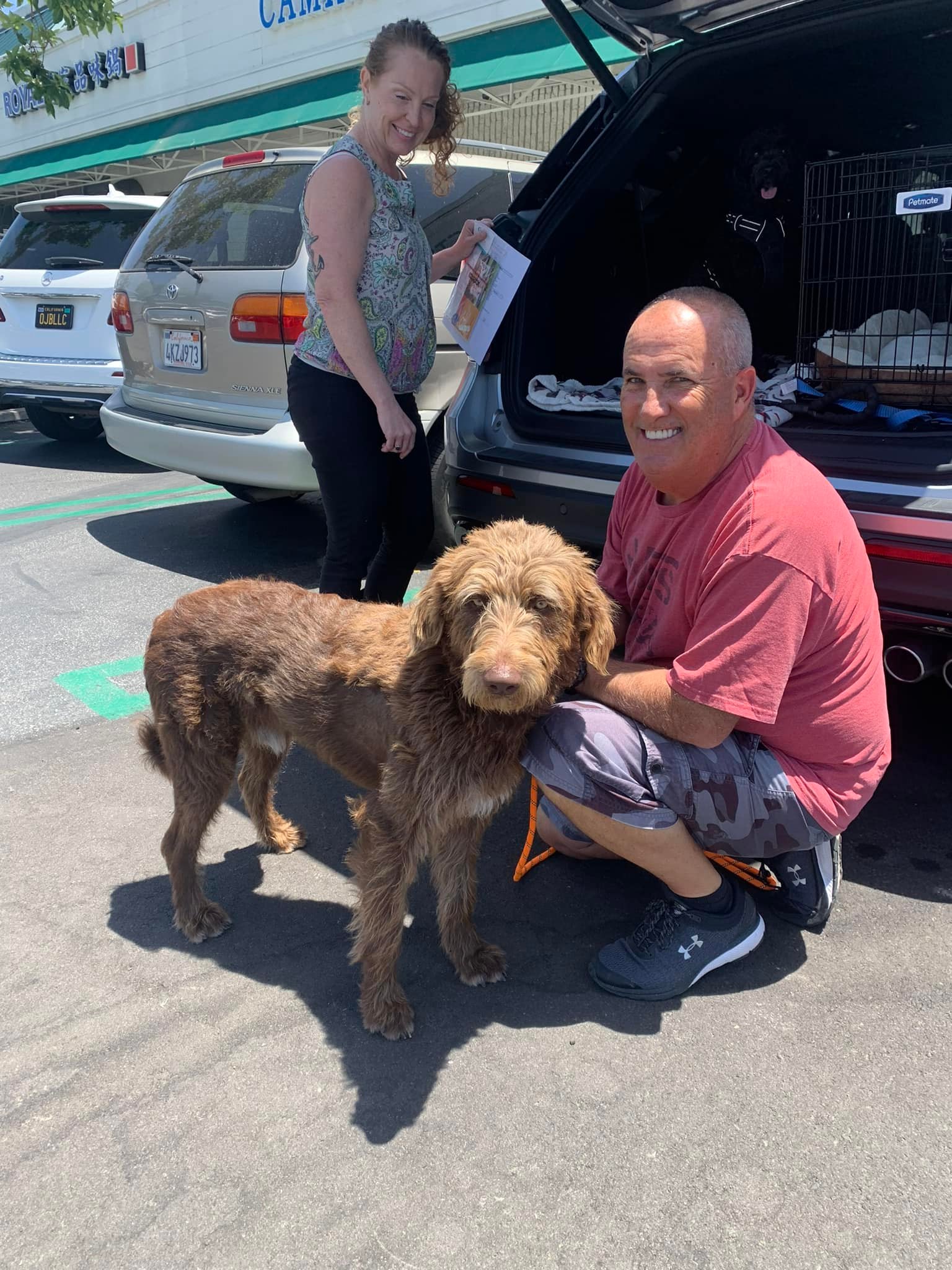 Extra image from article