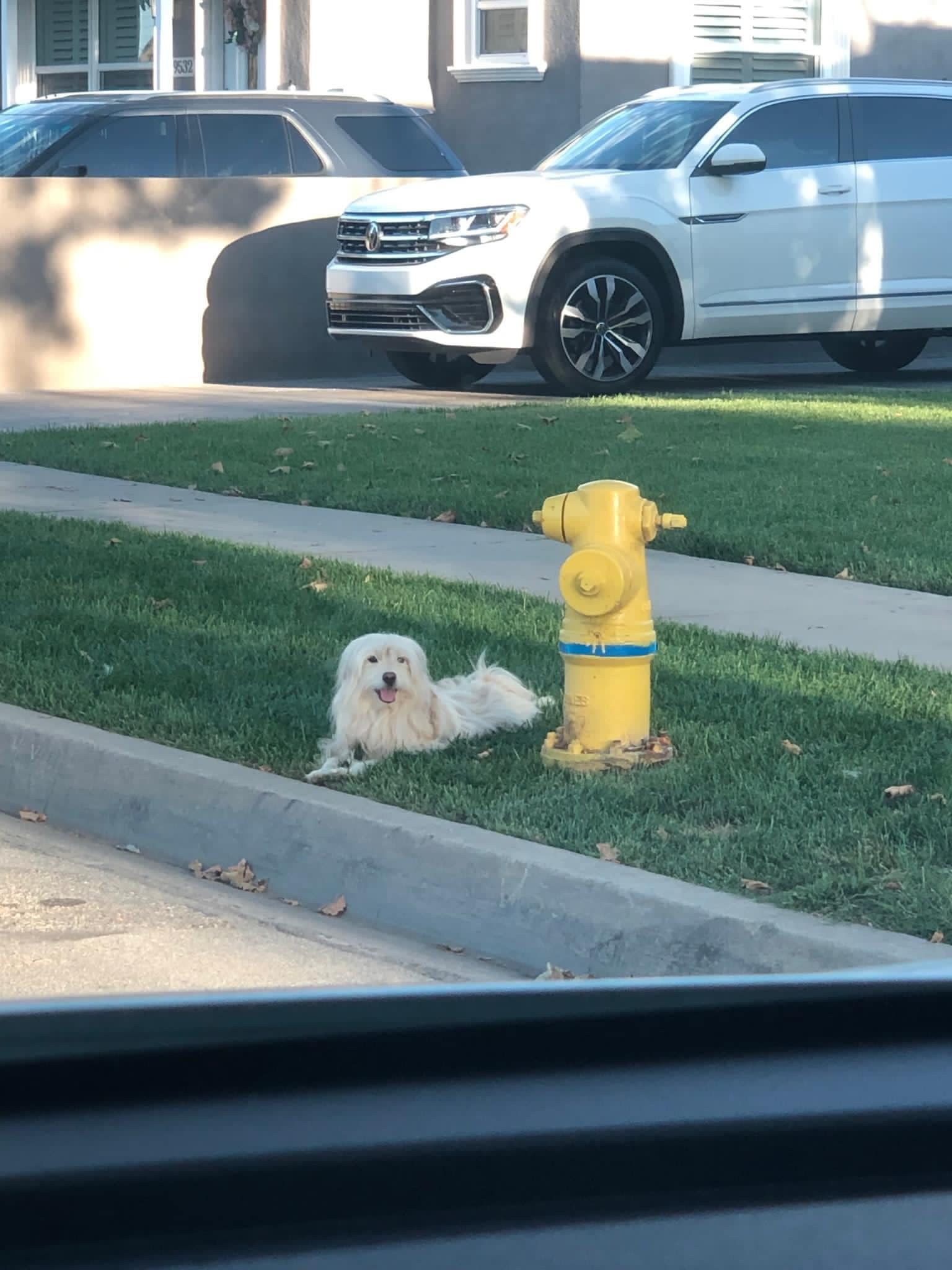 Patiently waiting through the hours and ...