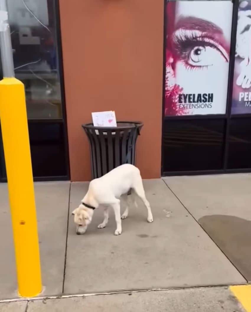 One heartfelt comment read,