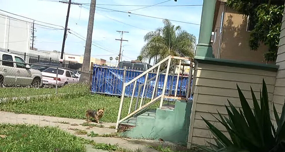 Extra image from article