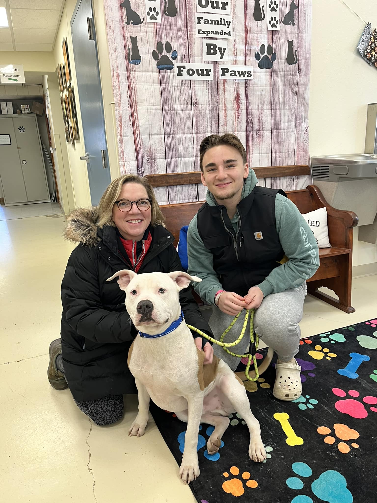 Understanding Jake’s true breed has not ...