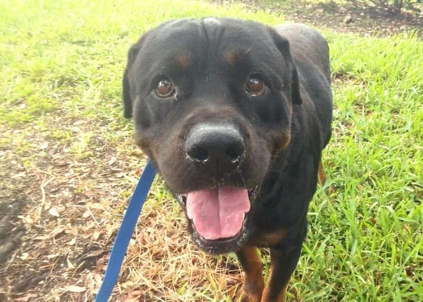 The pair's relationship is a testament t...