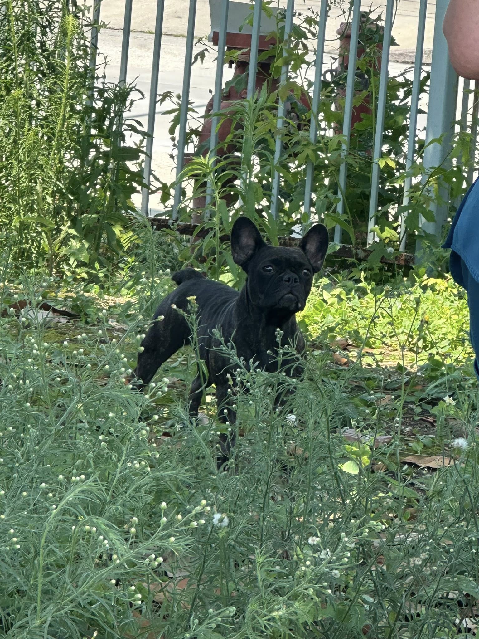 Extra image from article