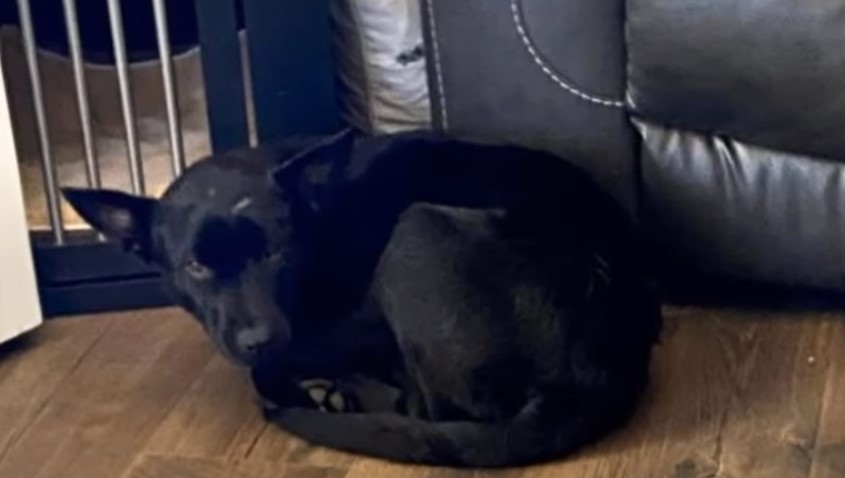 Extra image from article