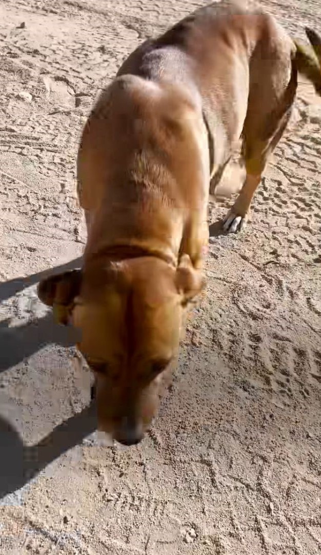 Extra image from article