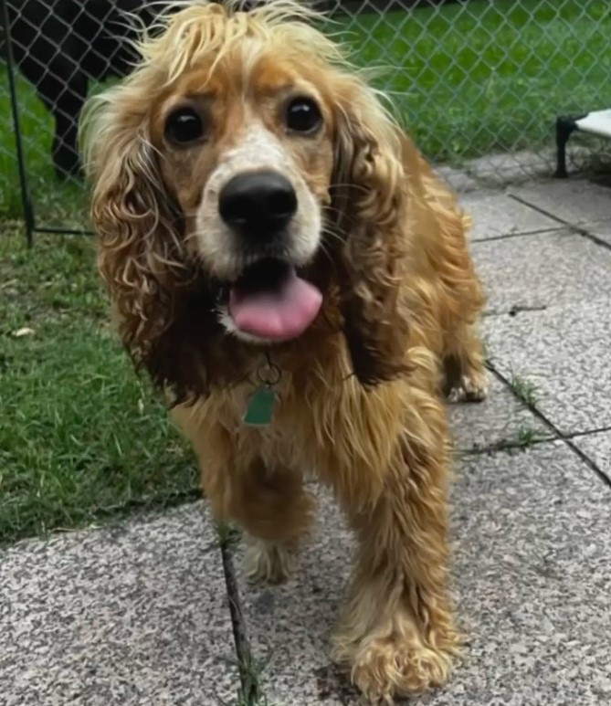 Extra image from article