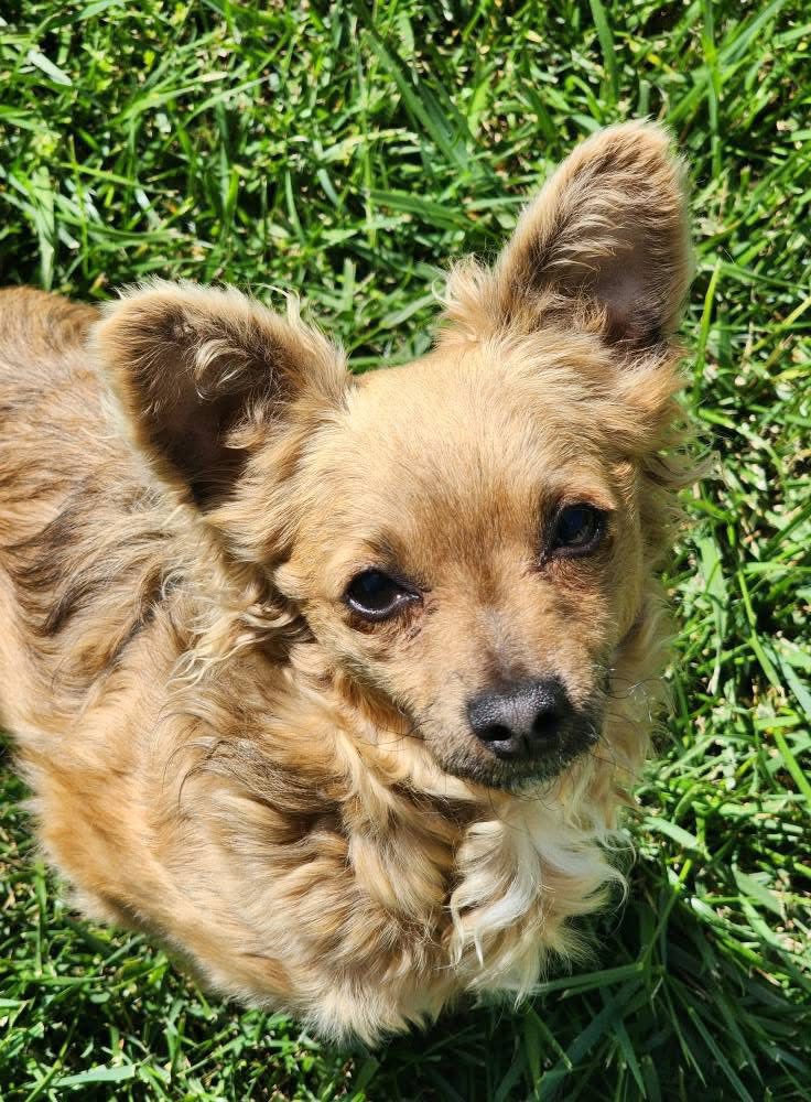 Extra image from article