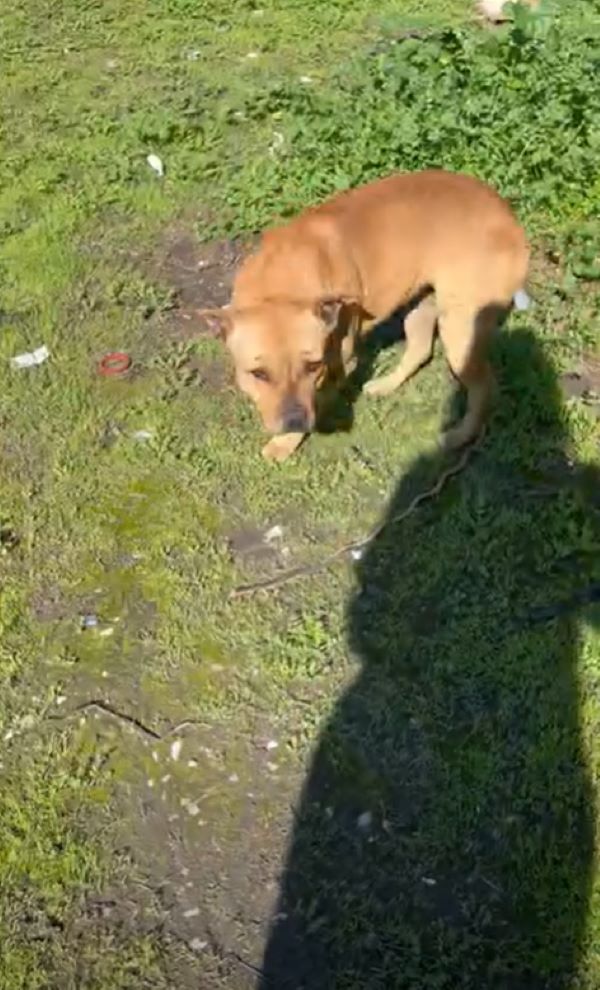 Extra image from article