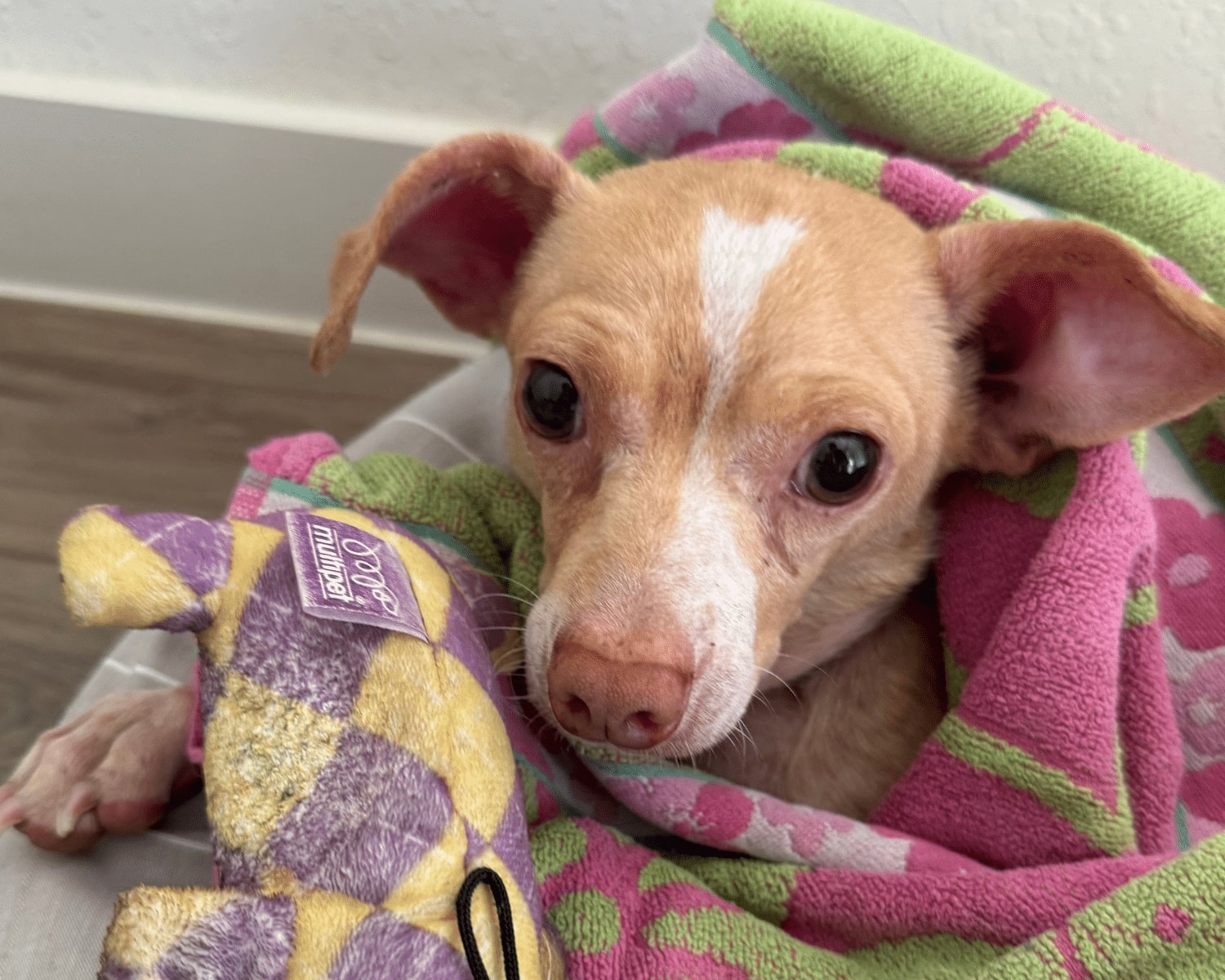 Extra image from article