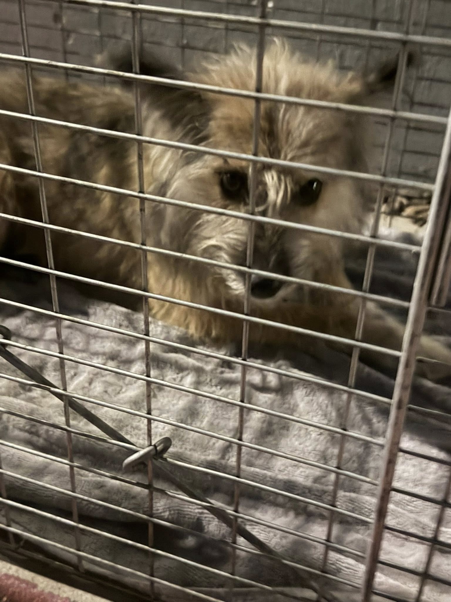 Extra image from article