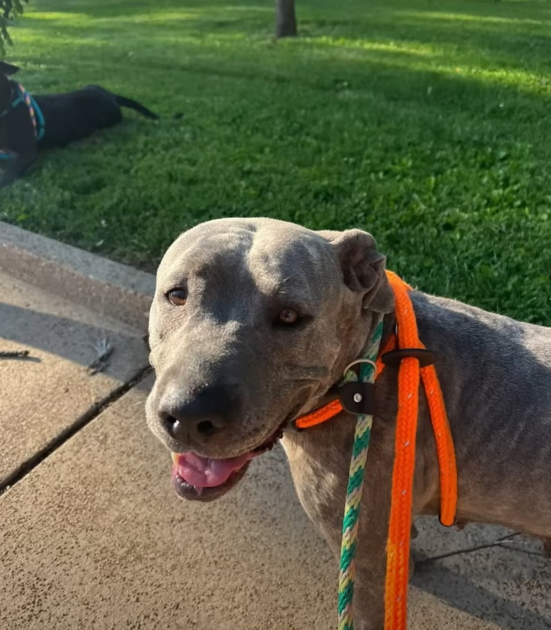 Extra image from article