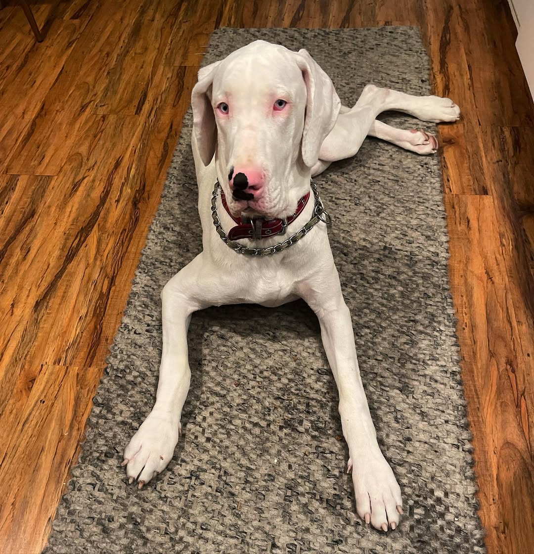 Extra image from article