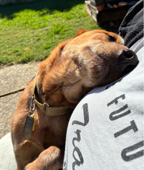 Extra image from article