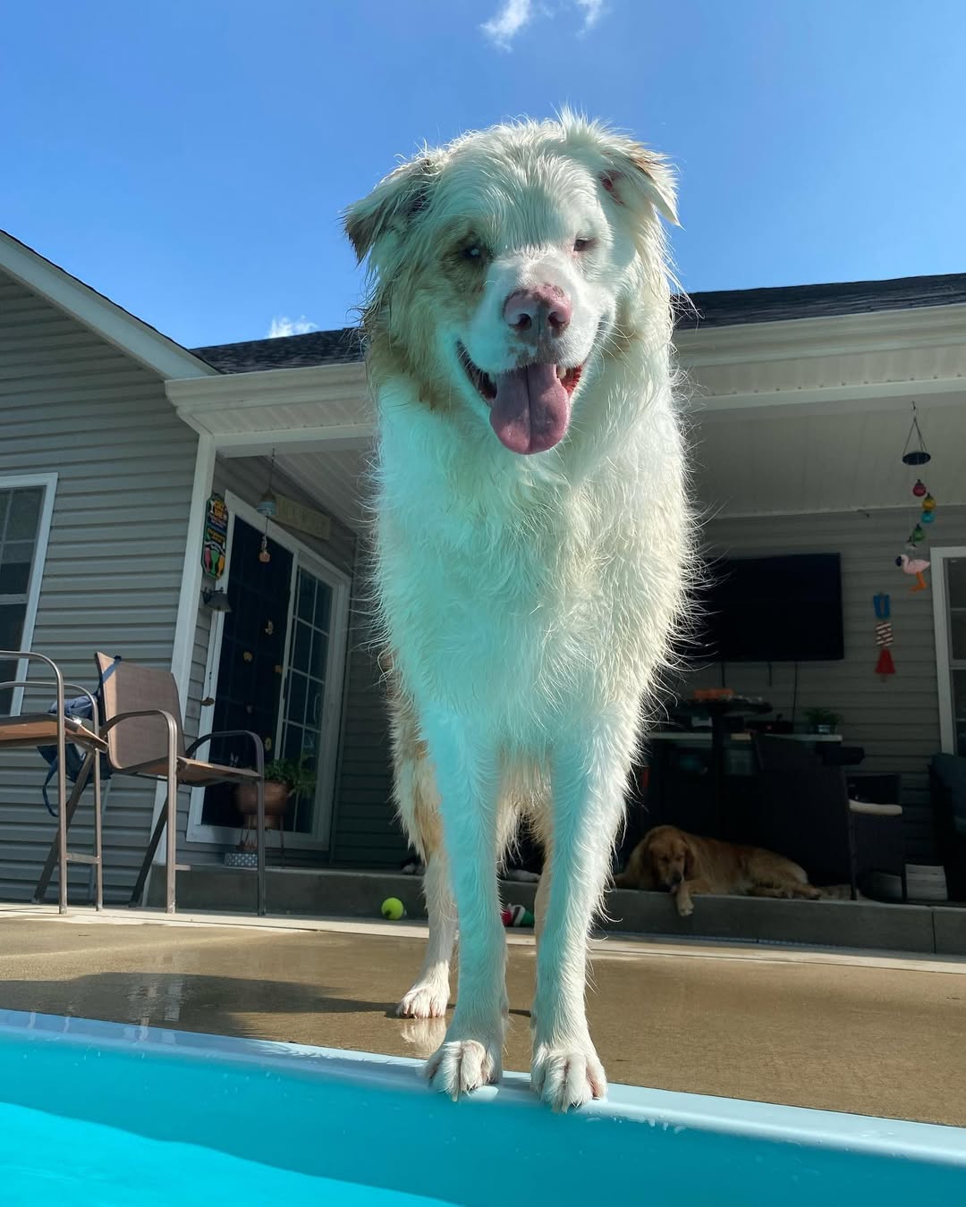 Extra image from article