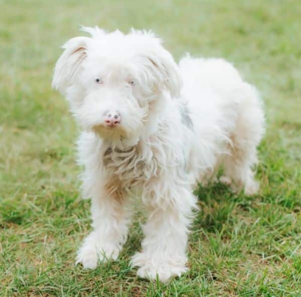 It wasn't long until Brandy found her fo...