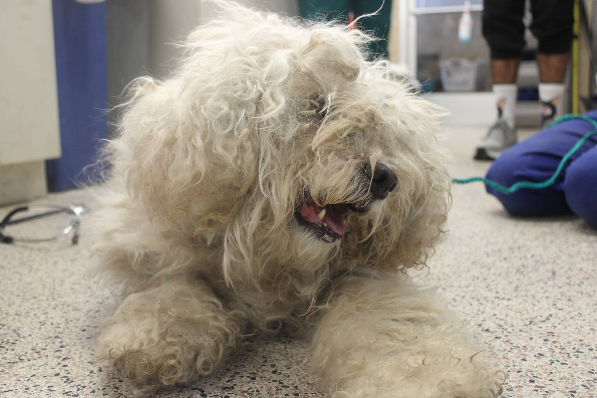 Despite his past marred by neglect and s...