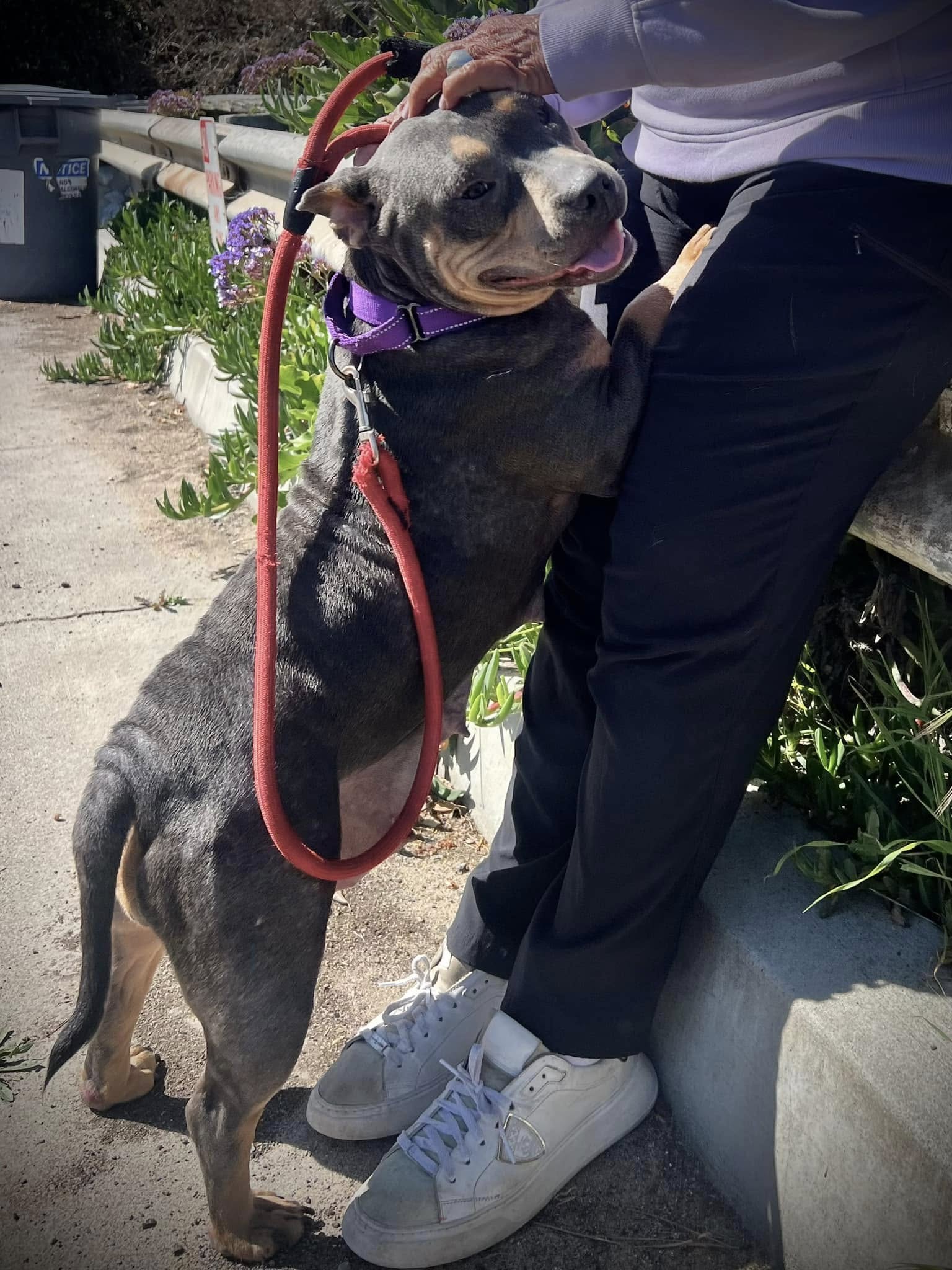 Extra image from article