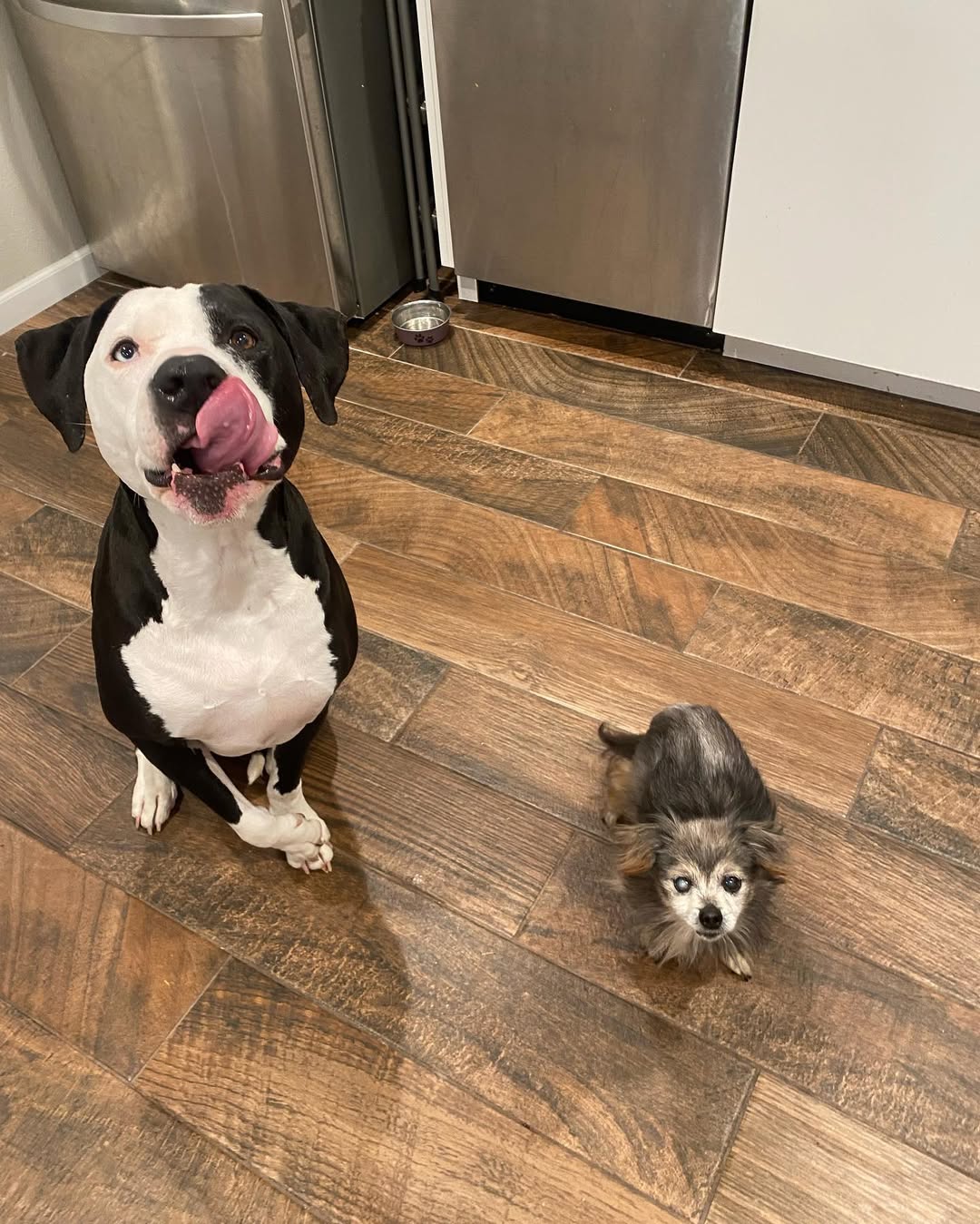 Extra image from article