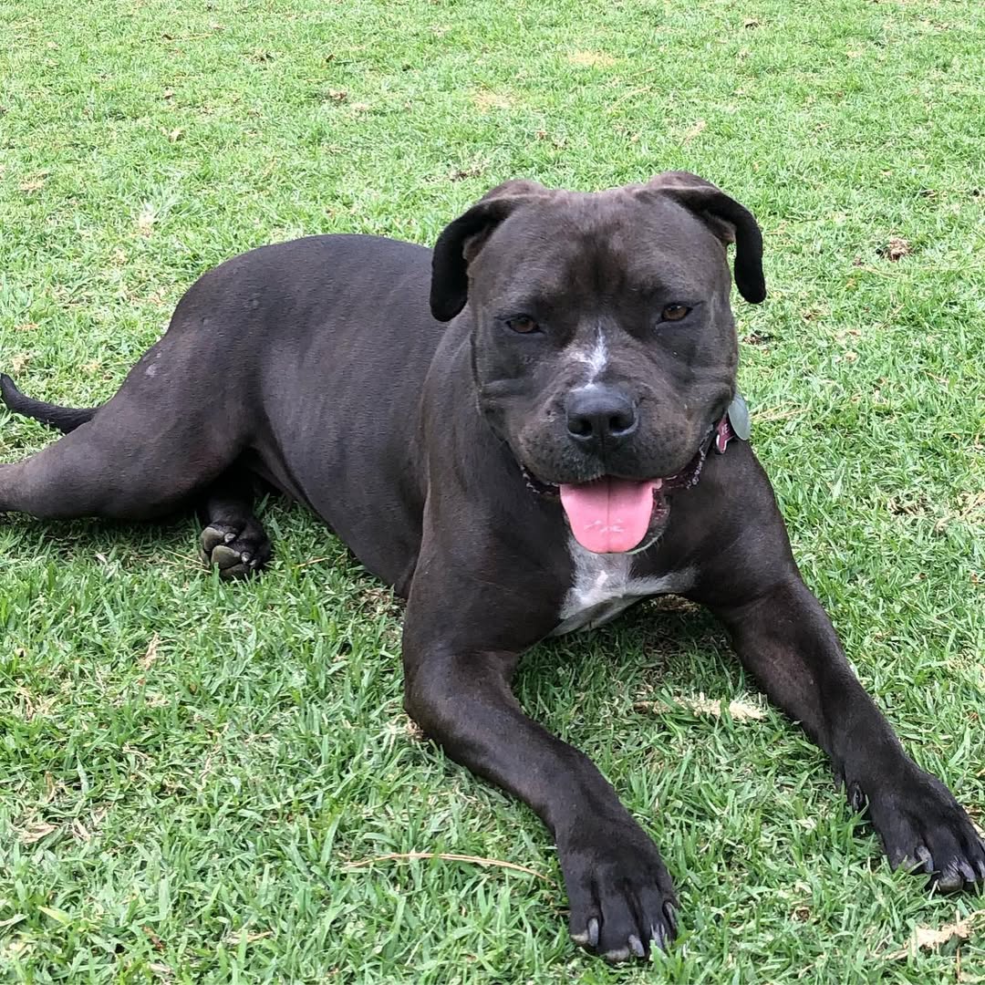 Extra image from article