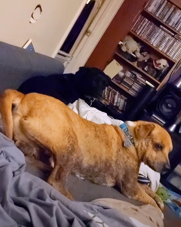 Extra image from article