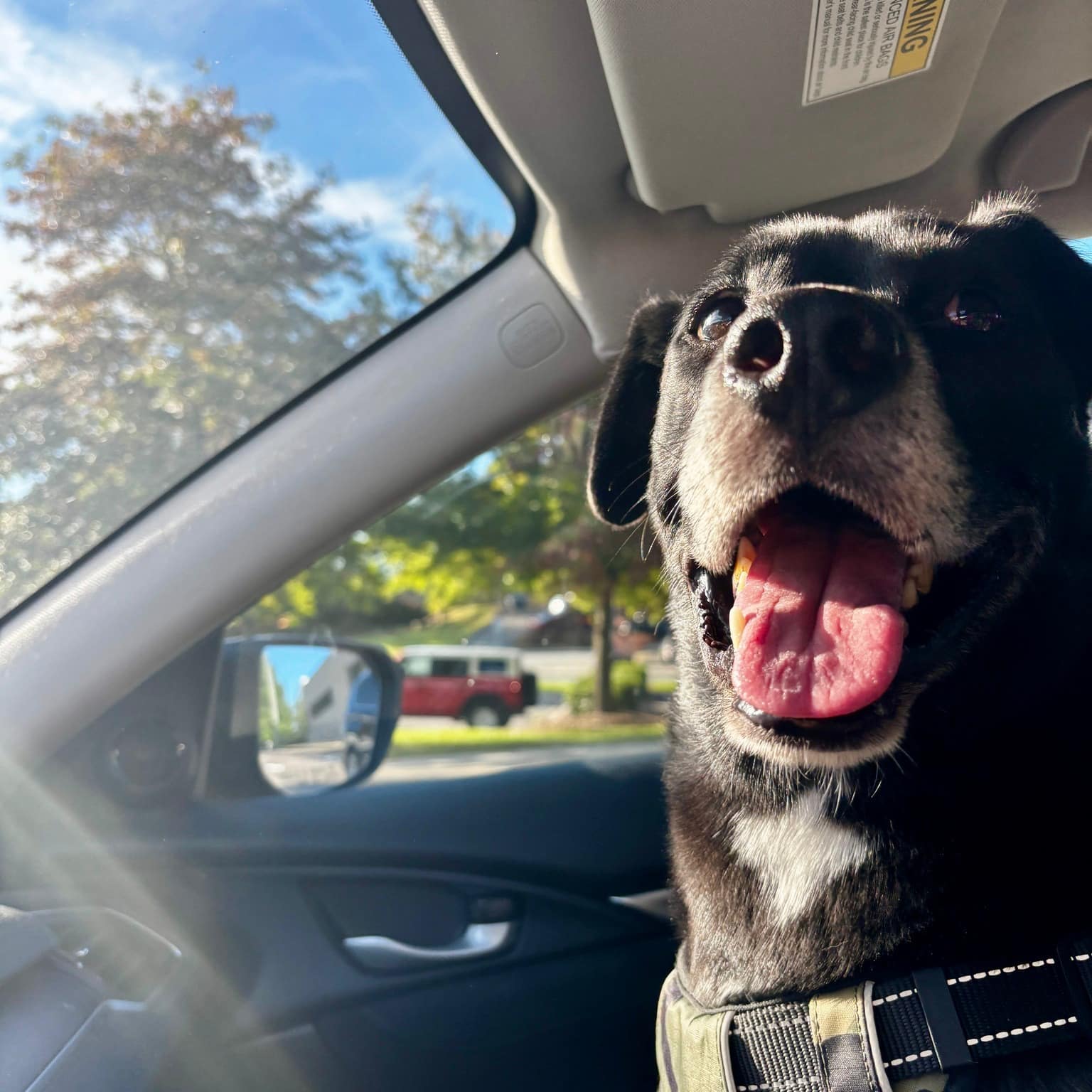 Pepperoni continues to wait for the righ...