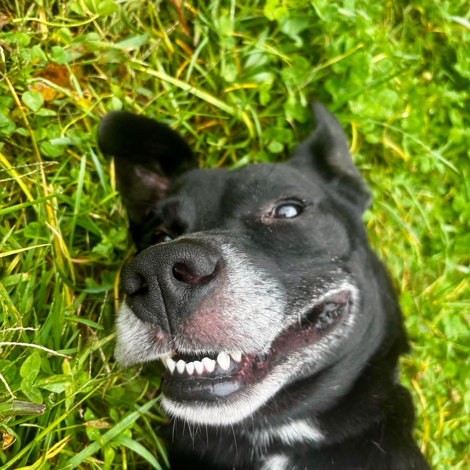 In an interview, a representative from t...