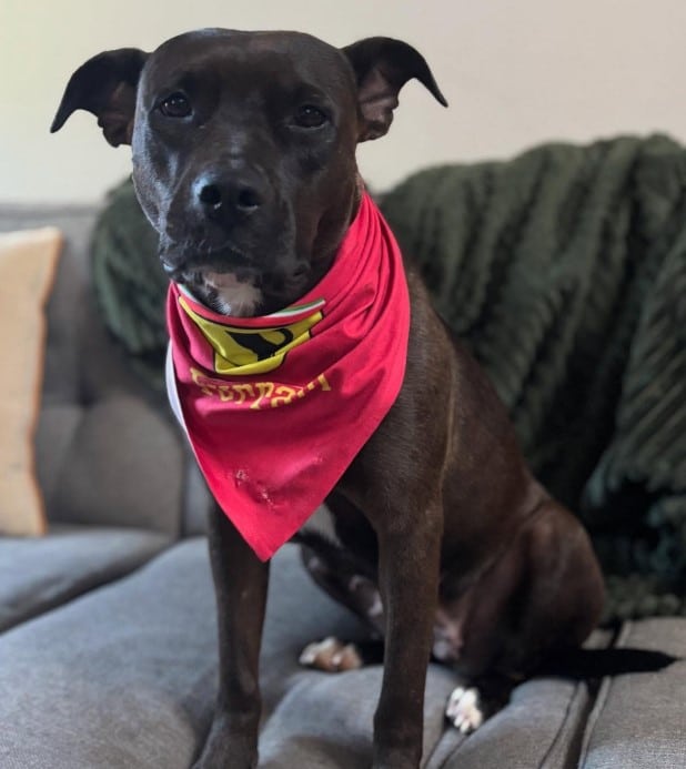 Extra image from article