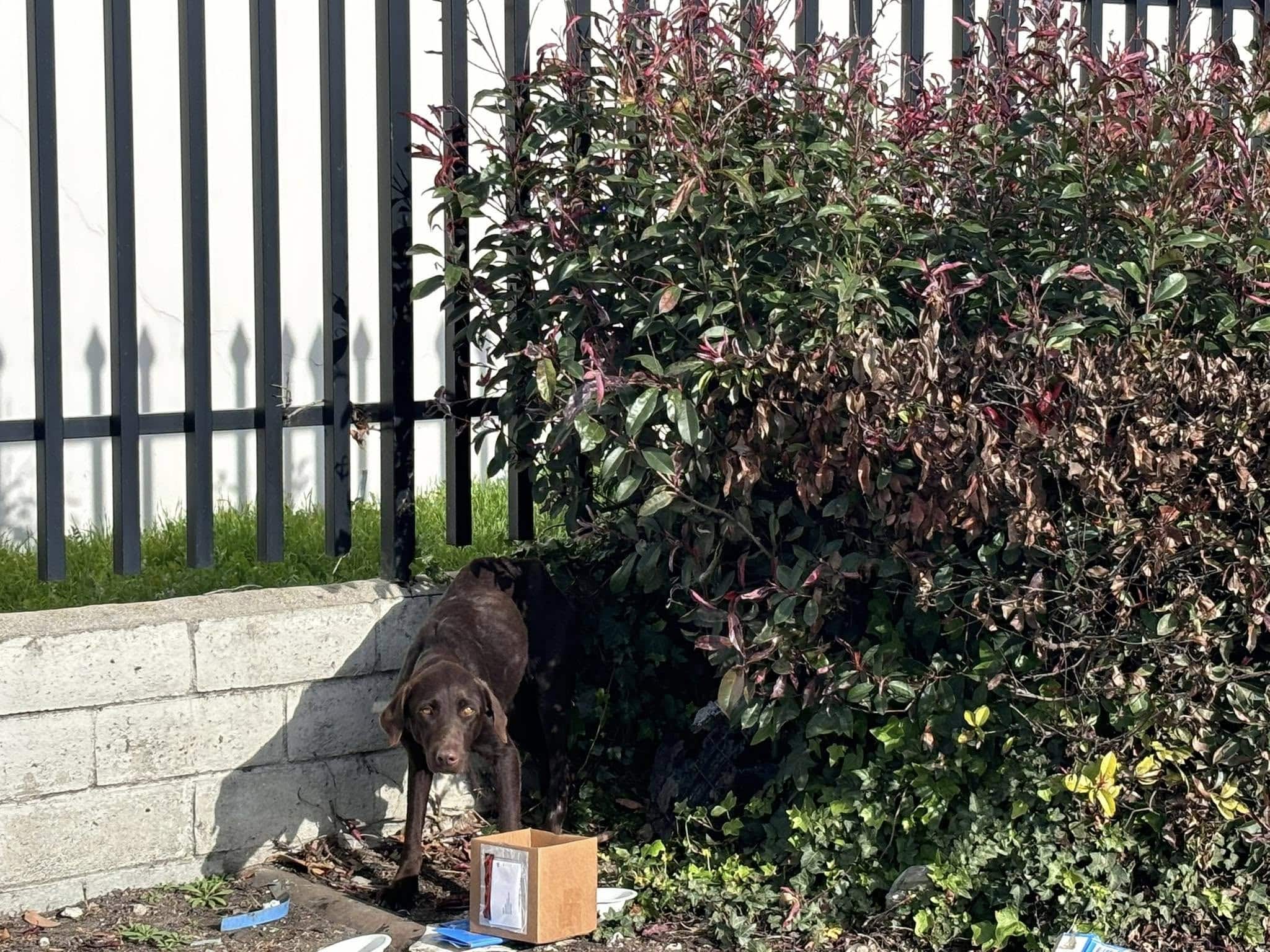 This story underscores the importance of...