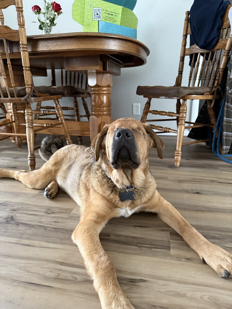 Extra image from article