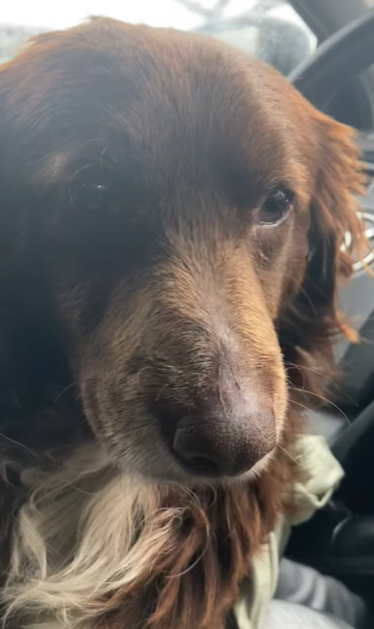 Extra image from article