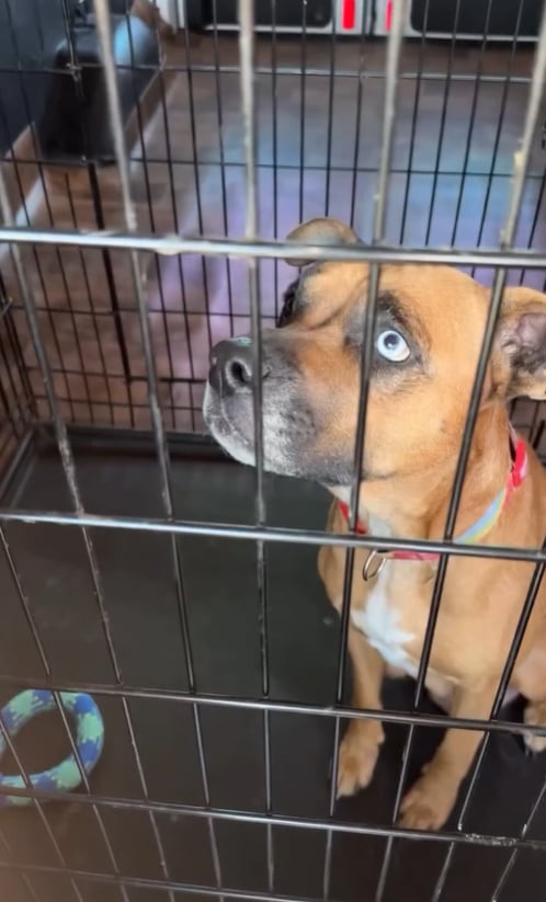 Extra image from article