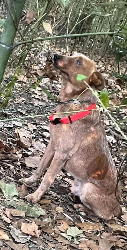 Extra image from article